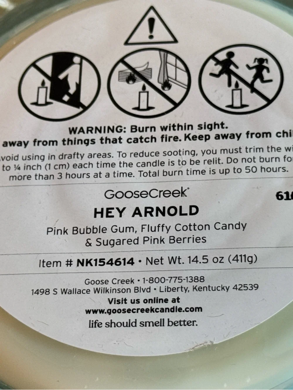 NEW Hey Arnold Nickelodeon 3-Wick Candle by Goose Creek